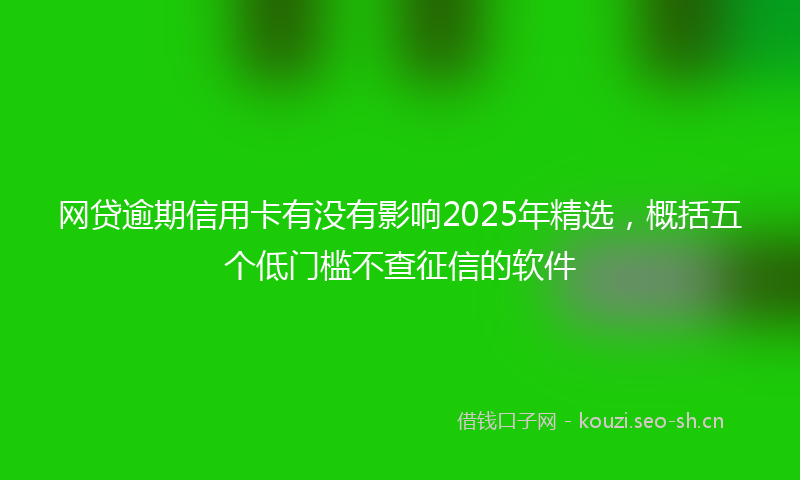 网贷逾期信用卡有没有影响2025年精选，概括五个低门槛不查征信的软件