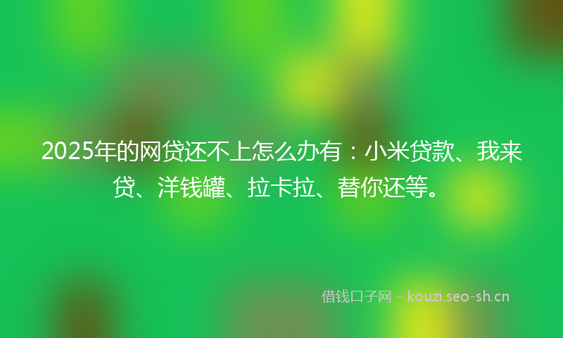 2025年的网贷还不上怎么办有：小米贷款、我来贷、洋钱罐、拉卡拉、替你还等。