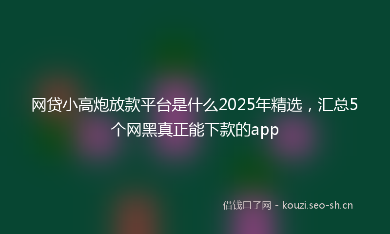 网贷小高炮放款平台是什么2025年精选，汇总5个网黑真正能下款的app