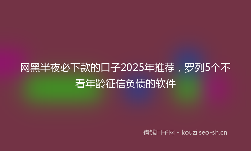 网黑半夜必下款的口子2025年推荐，罗列5个不看年龄征信负债的软件