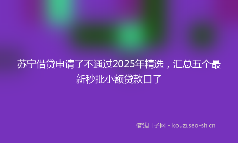 苏宁借贷申请了不通过2025年精选，汇总五个最新秒批小额贷款口子
