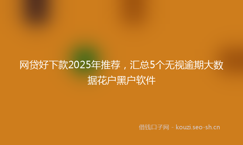 网贷好下款2025年推荐,汇总5个无视逾期大数据花户黑户软件