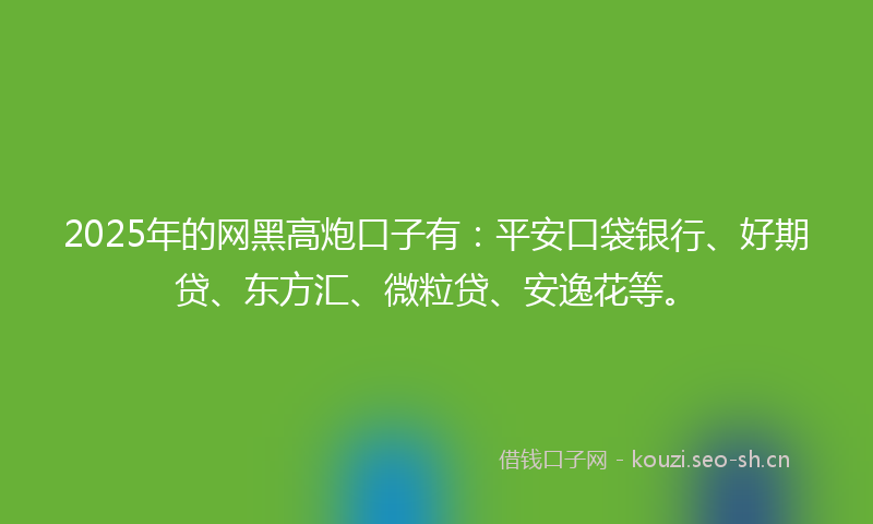 2025年的网黑高炮口子有：平安口袋银行、好期贷、东方汇、微粒贷、安逸花等。
