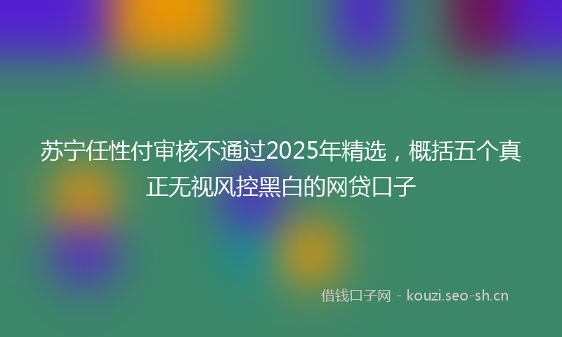 苏宁任性付审核不通过2025年精选，概括五个真正无视风控黑白的网贷口子