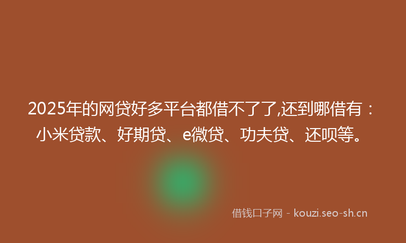 2025年的网贷好多平台都借不了了,还到哪借有：小米贷款、好期贷、e微贷、功夫贷、还呗等。