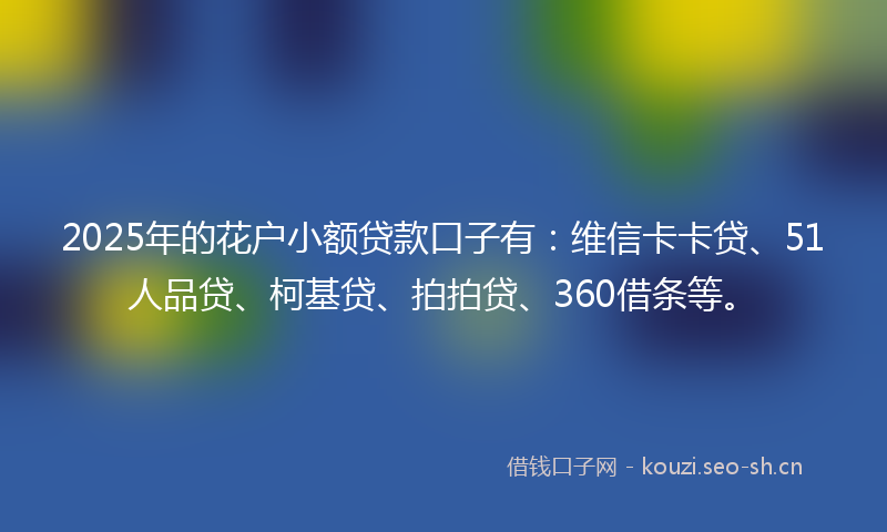 2025年的花户小额贷款口子有：维信卡卡贷、51人品贷、柯基贷、拍拍贷、360借条等。