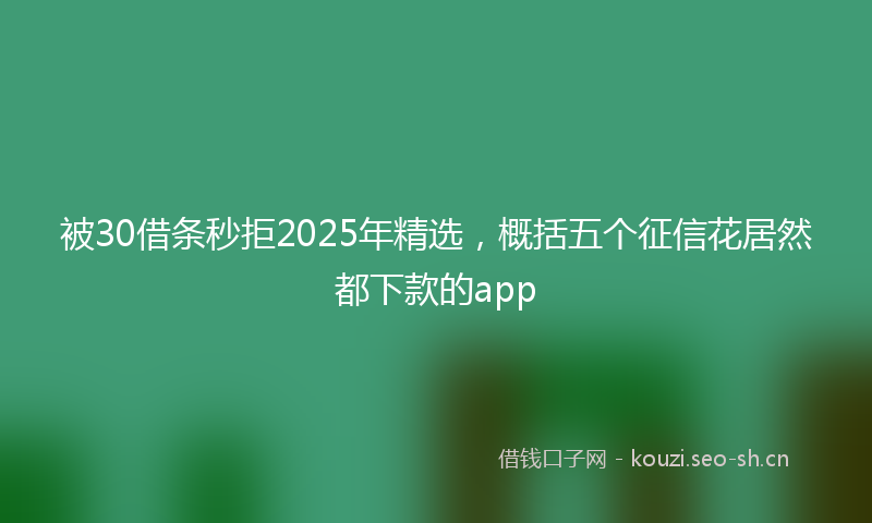 被30借条秒拒2025年精选，概括五个征信花居然都下款的app