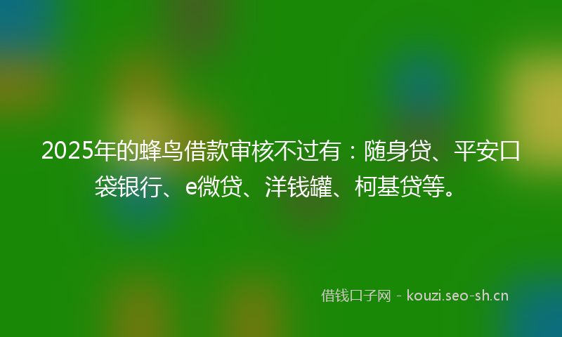 2025年的蜂鸟借款审核不过有：随身贷、平安口袋银行、e微贷、洋钱罐、柯基贷等。