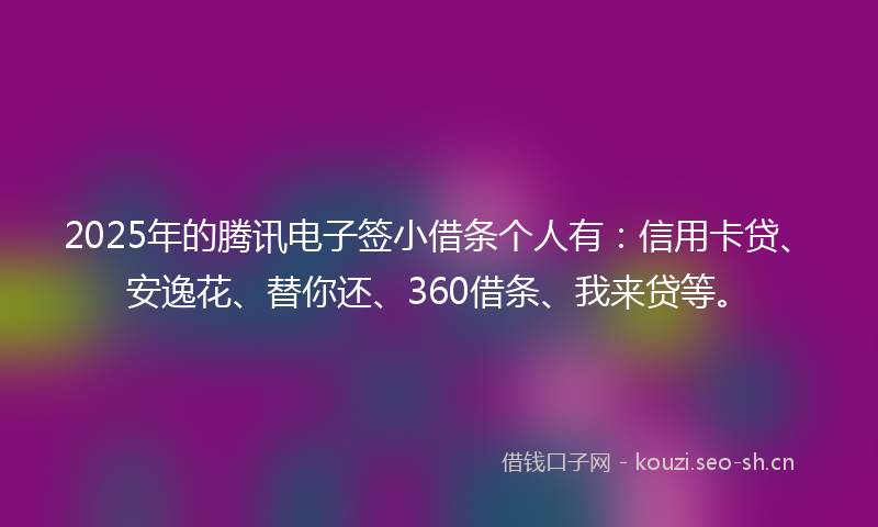 2025年的腾讯电子签小借条个人有：信用卡贷、安逸花、替你还、360借条、我来贷等。