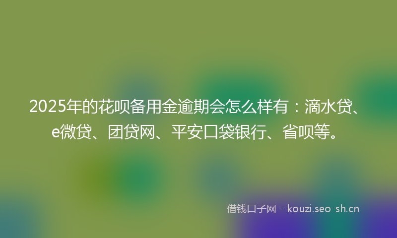 2025年的花呗备用金逾期会怎么样有：滴水贷、e微贷、团贷网、平安口袋银行、省呗等。