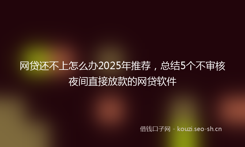 网贷还不上怎么办2025年推荐，总结5个不审核夜间直接放款的网贷软件