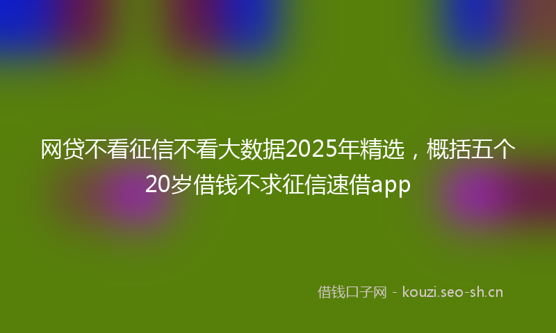 网贷不看征信不看大数据2025年精选，概括五个20岁借钱不求征信速借app