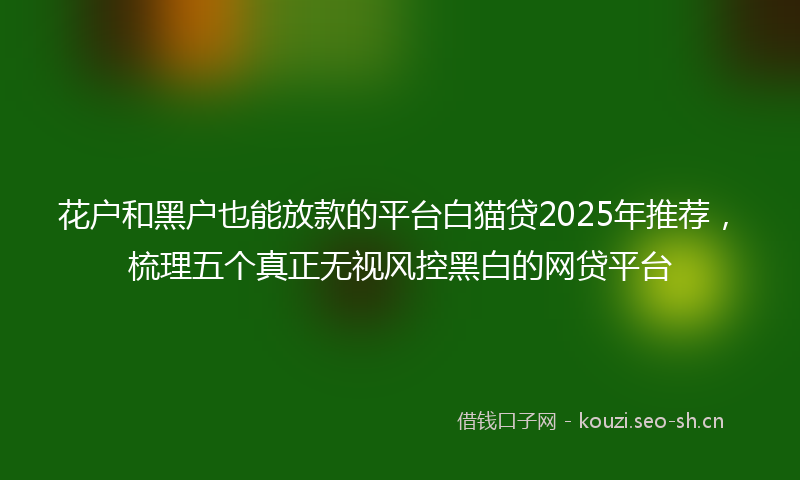 花户和黑户也能放款的平台白猫贷2025年推荐，梳理五个真正无视风控黑白的网贷平台