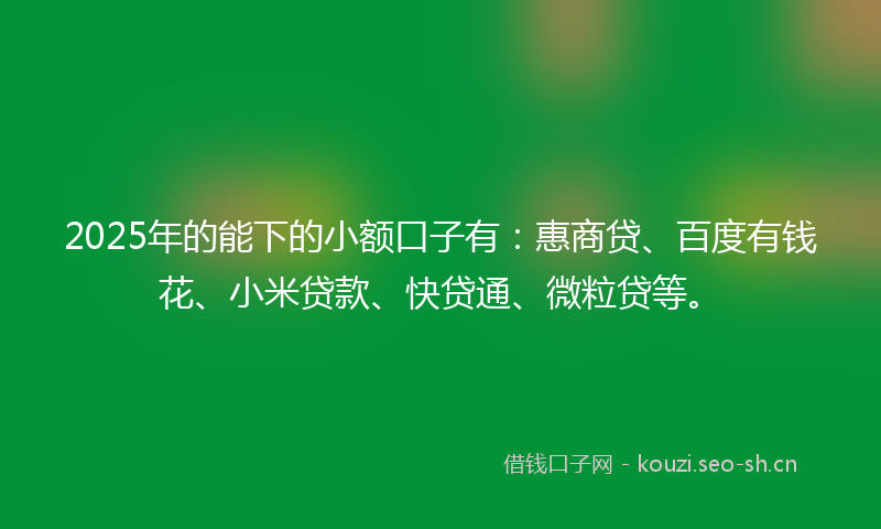 2025年的能下的小额口子有：惠商贷、百度有钱花、小米贷款、快贷通、微粒贷等。