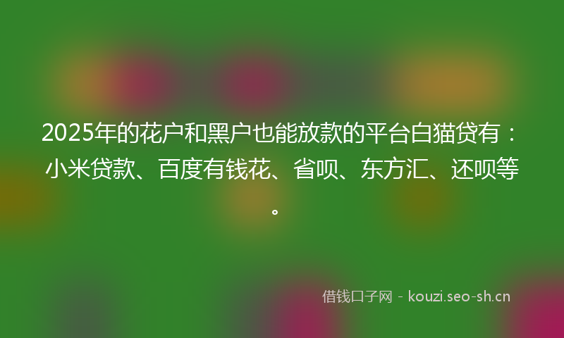 2025年的花户和黑户也能放款的平台白猫贷有：小米贷款、百度有钱花、省呗、东方汇、还呗等。