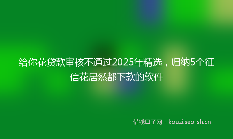 给你花贷款审核不通过2025年精选，归纳5个征信花居然都下款的软件