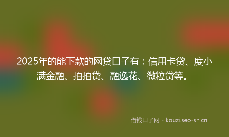 2025年的能下款的网贷口子有：信用卡贷、度小满金融、拍拍贷、融逸花、微粒贷等。