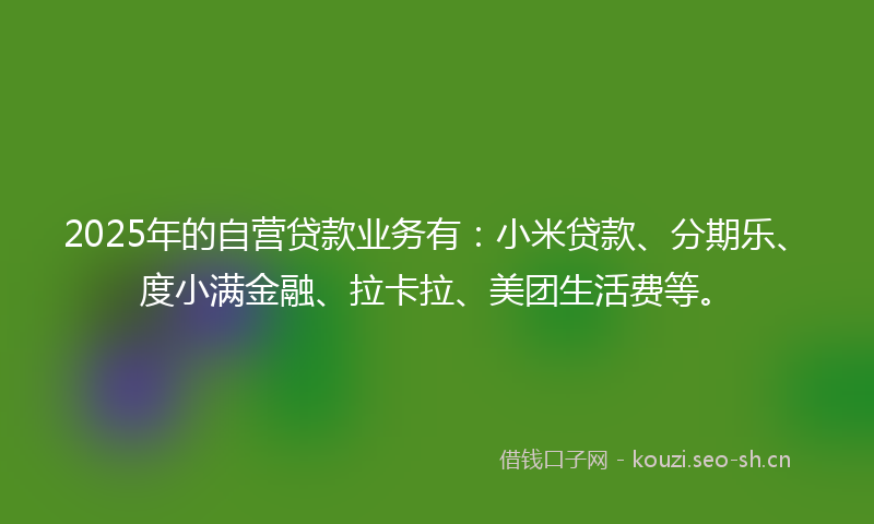 2025年的自营贷款业务有：小米贷款、分期乐、度小满金融、拉卡拉、美团生活费等。