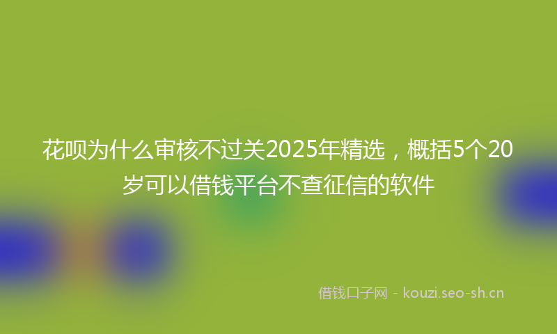 花呗为什么审核不过关2025年精选，概括5个20岁可以借钱平台不查征信的软件