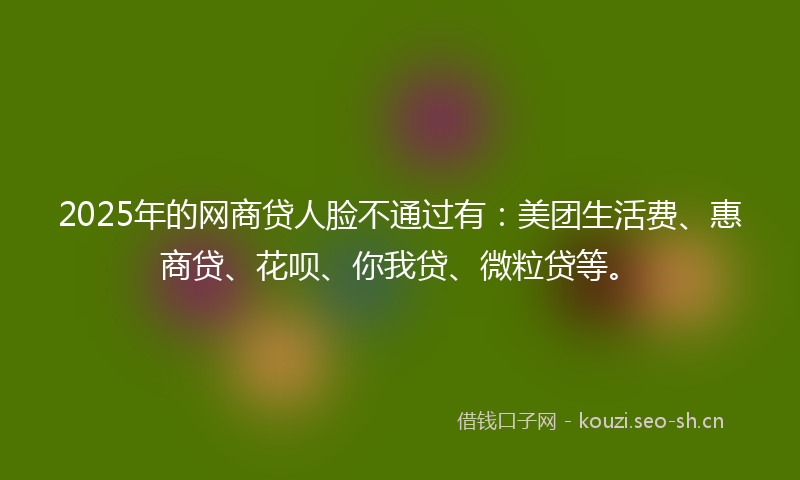 2025年的网商贷人脸不通过有：美团生活费、惠商贷、花呗、你我贷、微粒贷等。