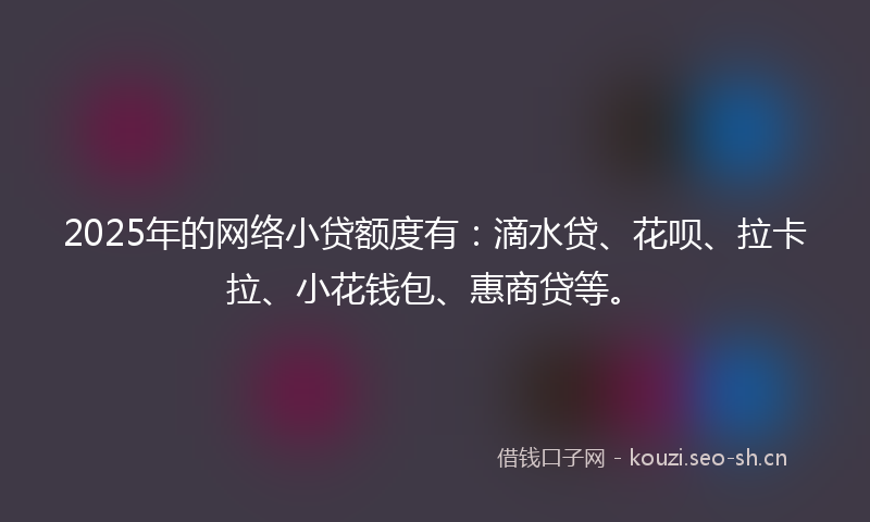 2025年的网络小贷额度有：滴水贷、花呗、拉卡拉、小花钱包、惠商贷等。