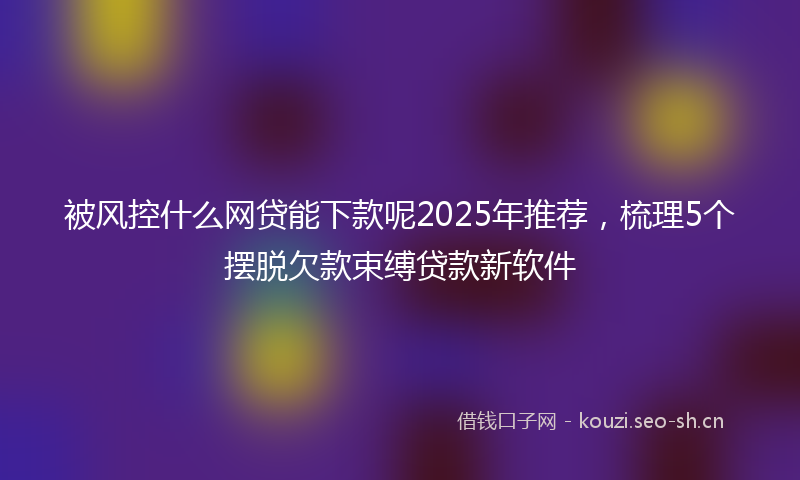 被风控什么网贷能下款呢2025年推荐，梳理5个摆脱欠款束缚贷款新软件