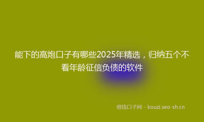 能下的高炮口子有哪些2025年精选，归纳五个不看年龄征信负债的软件