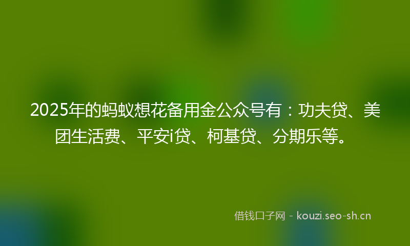 2025年的蚂蚁想花备用金公众号有：功夫贷、美团生活费、平安i贷、柯基贷、分期乐等。