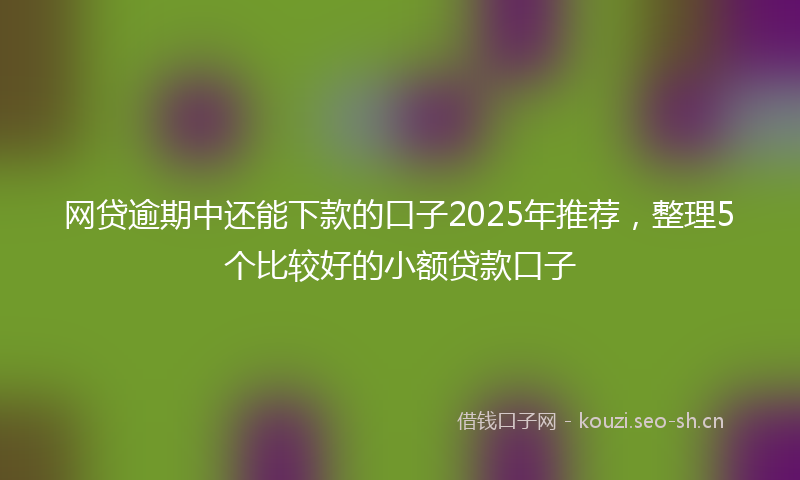 网贷逾期中还能下款的口子2025年推荐，整理5个比较好的小额贷款口子
