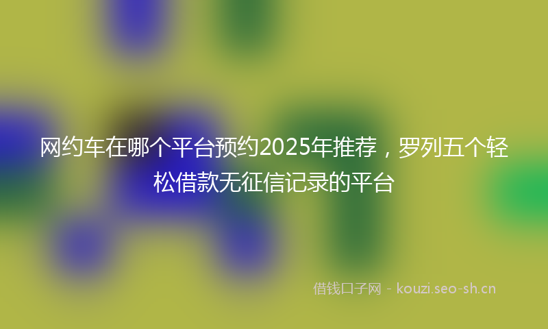 网约车在哪个平台预约2025年推荐，罗列五个轻松借款无征信记录的平台
