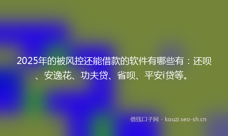 2025年的被风控还能借款的软件有哪些有：还呗、安逸花、功夫贷、省呗、平安i贷等。