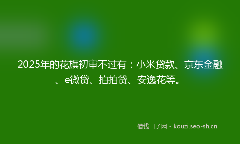 2025年的花旗初审不过有：小米贷款、京东金融、e微贷、拍拍贷、安逸花等。