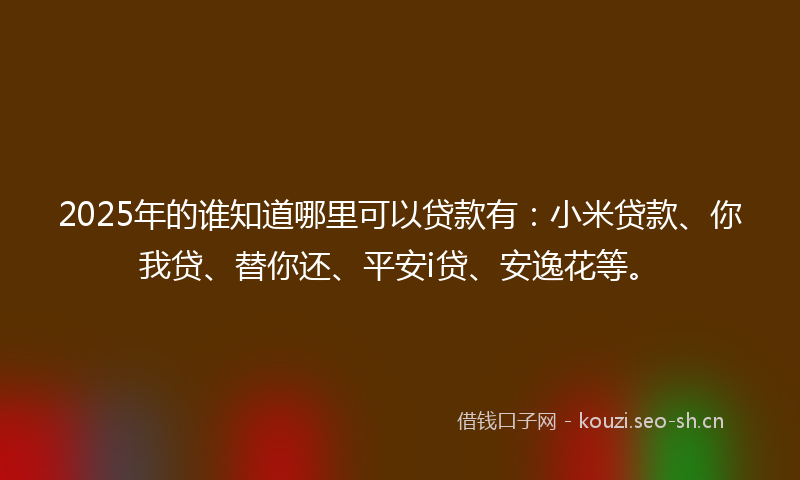 2025年的谁知道哪里可以贷款有：小米贷款、你我贷、替你还、平安i贷、安逸花等。