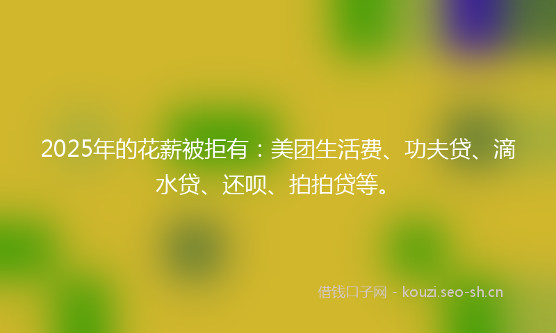 2025年的花薪被拒有：美团生活费、功夫贷、滴水贷、还呗、拍拍贷等。