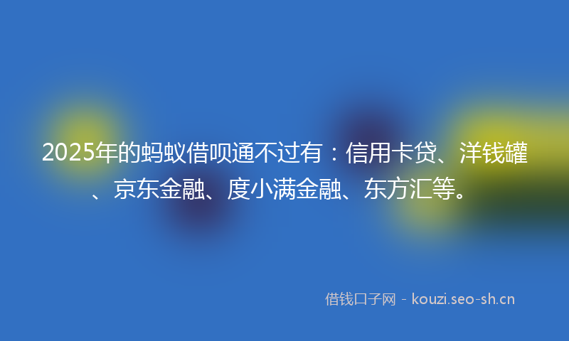 2025年的蚂蚁借呗通不过有：信用卡贷、洋钱罐、京东金融、度小满金融、东方汇等。