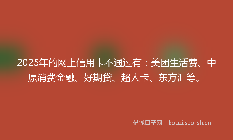 2025年的网上信用卡不通过有：美团生活费、中原消费金融、好期贷、超人卡、东方汇等。