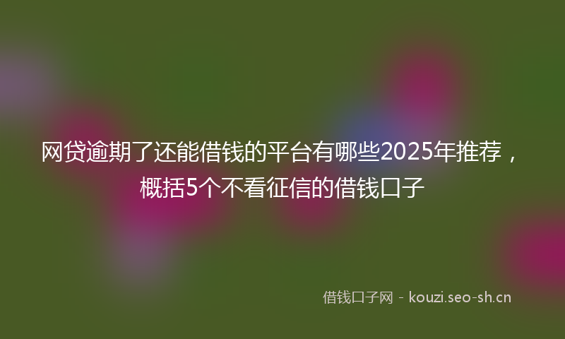 网贷逾期了还能借钱的平台有哪些2025年推荐，概括5个不看征信的借钱口子