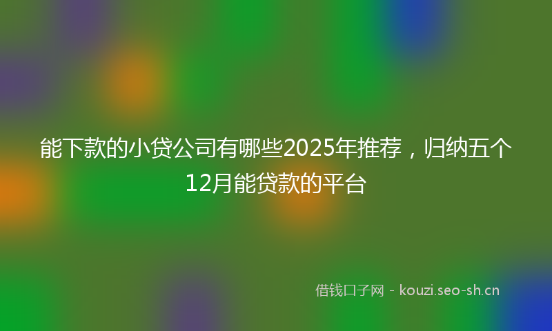 能下款的小贷公司有哪些2025年推荐，归纳五个12月能贷款的平台