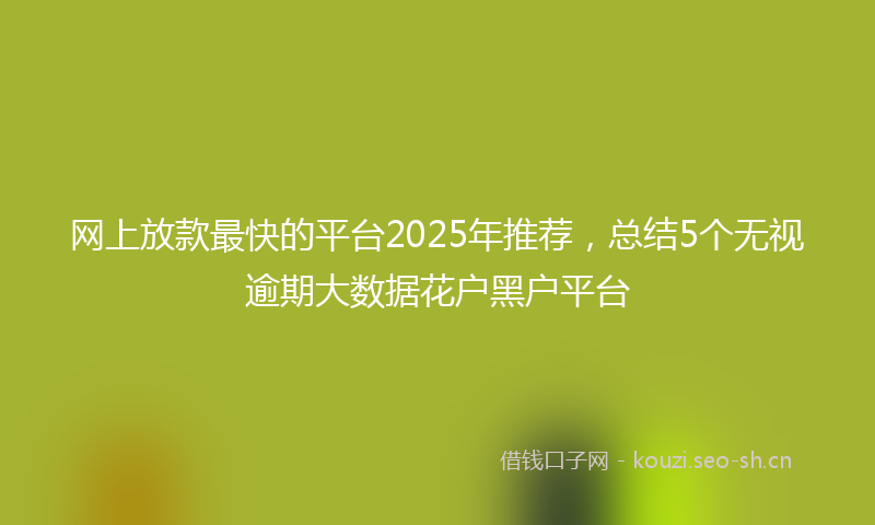 网上放款最快的平台2025年推荐，总结5个无视逾期大数据花户黑户平台