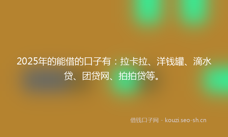 2025年的能借的口子有：拉卡拉、洋钱罐、滴水贷、团贷网、拍拍贷等。