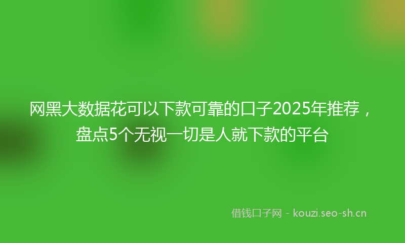 网黑大数据花可以下款可靠的口子2025年推荐，盘点5个无视一切是人就下款的平台