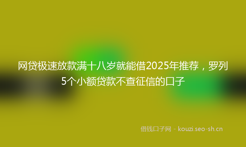 网贷极速放款满十八岁就能借2025年推荐，罗列5个小额贷款不查征信的口子