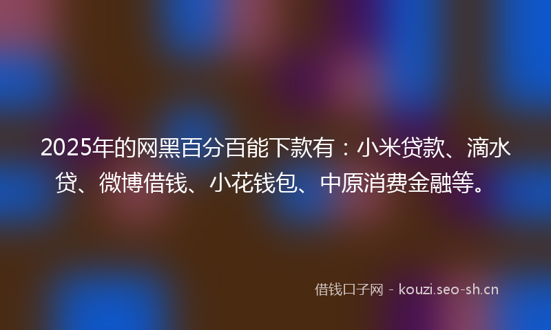 2025年的网黑百分百能下款有：小米贷款、滴水贷、微博借钱、小花钱包、中原消费金融等。