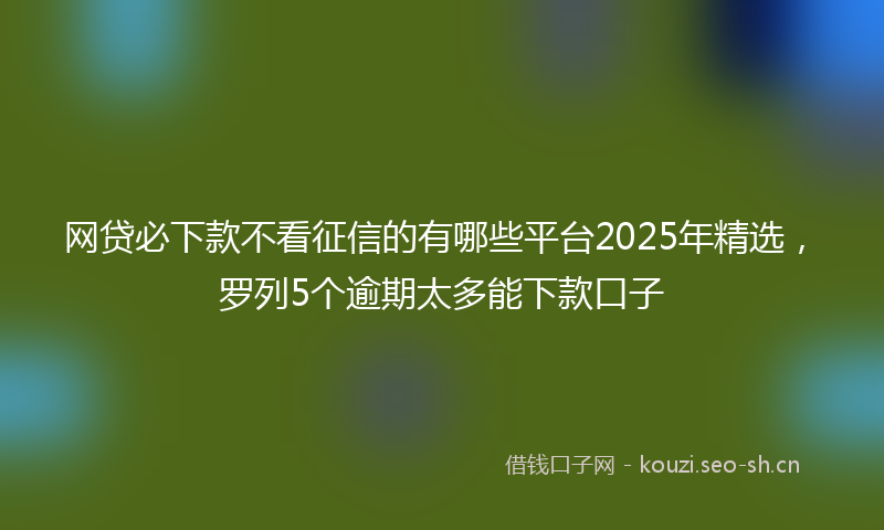 网贷必下款不看征信的有哪些平台2025年精选，罗列5个逾期太多能下款口子