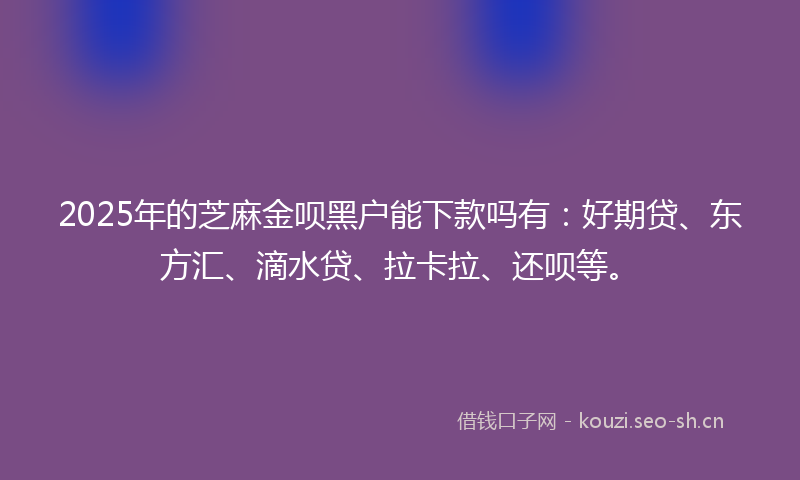 2025年的芝麻金呗黑户能下款吗有：好期贷、东方汇、滴水贷、拉卡拉、还呗等。