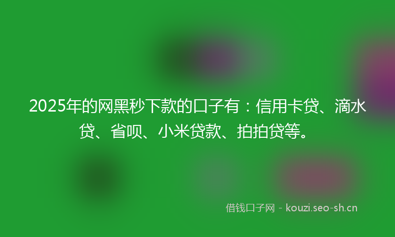 2025年的网黑秒下款的口子有：信用卡贷、滴水贷、省呗、小米贷款、拍拍贷等。