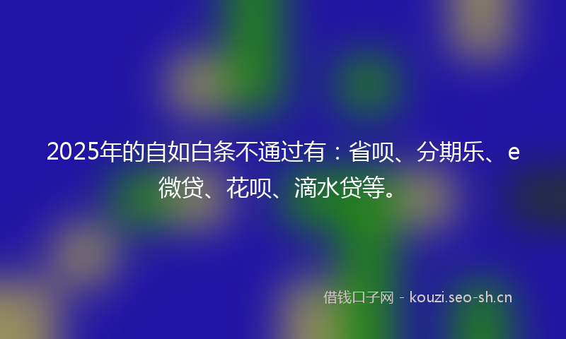 2025年的自如白条不通过有：省呗、分期乐、e微贷、花呗、滴水贷等。