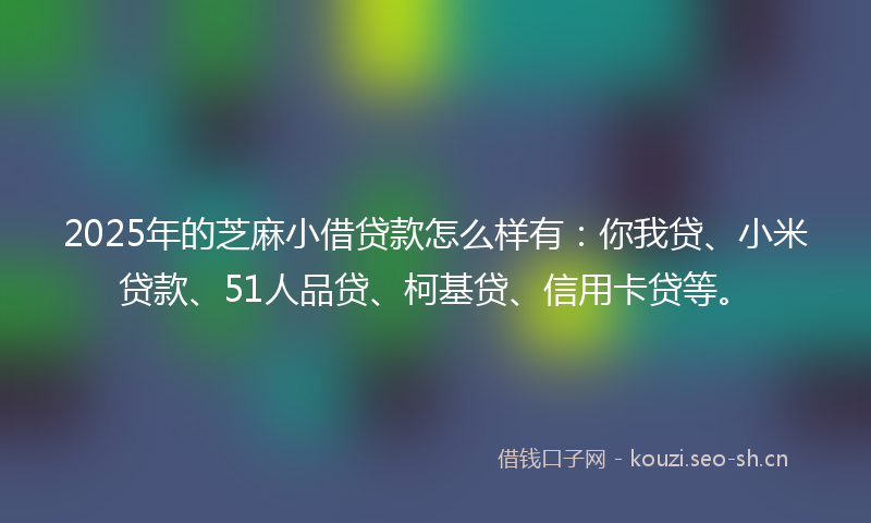 2025年的芝麻小借贷款怎么样有：你我贷、小米贷款、51人品贷、柯基贷、信用卡贷等。
