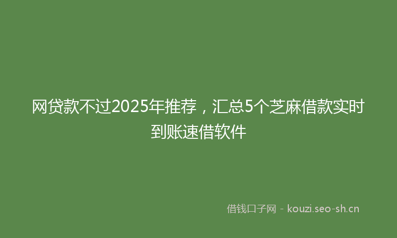 网贷款不过2025年推荐，汇总5个芝麻借款实时到账速借软件