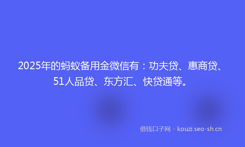 2025年的蚂蚁备用金微信有：功夫贷、惠商贷、51人品贷、东方汇、快贷通等。
